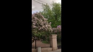 1000015706.avi