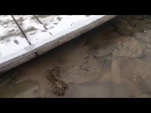 Чистка колодцев