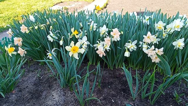024 смотреть онлайн