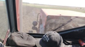 посевная пшеницы тот же день#т150#agro#трактор#сельское хозяйство#ферма#Даня фермер!!! #хозяйство
