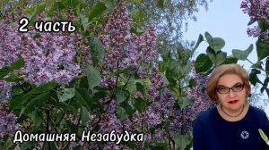 2 часть. Игры на телефоне во время рассказа ПРО ПОХОРОНЫ😱❗️ХОП ХОП и всё закончилось....
