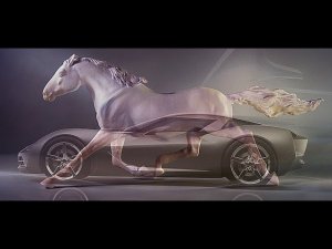 Что такое лошадиная сила? И сколько лошадиных сил в человеке?