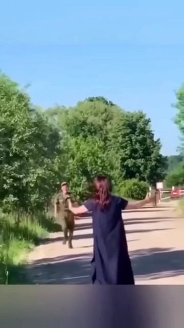 ⚡️Счастливые моменты⚡️ Друзья мы в одноклассниках https://ok.ru/group/70000052173058 смотреть онлайн