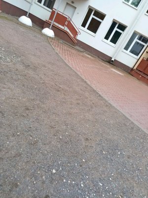 поля