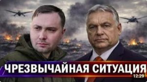 ⚡️ НАТО обратилось к Путину __ Вмешательство в выборы Венгрии