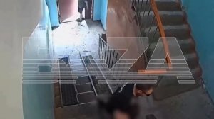 В Тюмени извращенец со спущенными штанами схватил девочку и потащил её в подъезд — ребёнка удалось