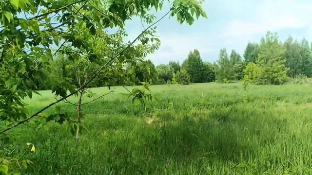 30.05.26. Когда чуйка, срочно на пасеку!!! смотреть онлайн