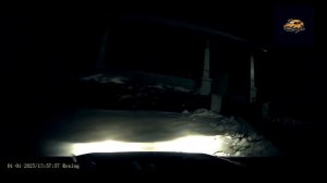Аварии и ДТП на дорогах ТОРОПЫГИ и ВОДЯТЛЫ за рулем Подборка на видеорегистратор