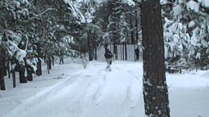 Талый снег/Lörts