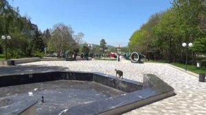 Железноводск. Аллея любви.