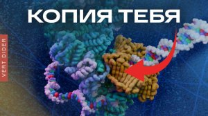 Конвейер, который работает 3,8 млрд лет [Clockwork]