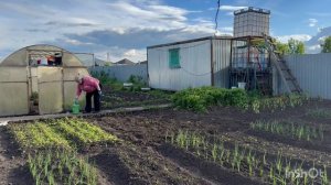 ПЯТНИЦА ПЕРЕД ТРОИЦЕЙ☘️🌿☘️🌿💐/жизнь здесь и сейчас ✅❤️❤️❤️