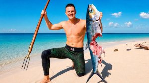 🦈24 ЧАСА ДОБЫВАЮ ЕДУ СРЕДИ ОПАСНЫХ АКУЛ😱