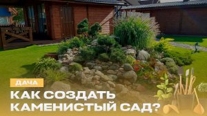 Пора превращать дачу в мечту! Как обустроить участок? | Каменистый сад и водные растения | Дача