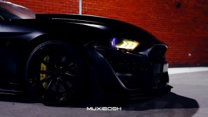 MUXIBOSH - Long Way (Original Mix)