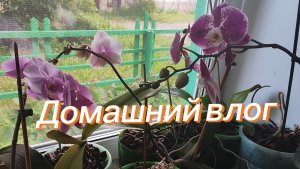 Домашний влог//ленивая долма// салат с тунцом