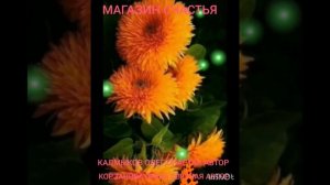 МАГАЗИН СЧАСТЬЯ 24*05*2026 Авторы Калмыков Олег Спартак и Корзанова Ольга Светлая Новая Яркая Звезда