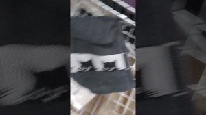 в магазине