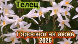 Телец! Гороскоп на июнь 2026 года!