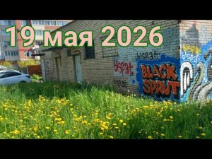 19 мая 2026. День Пионерии. В Яндекс-Маркете нет интернета..