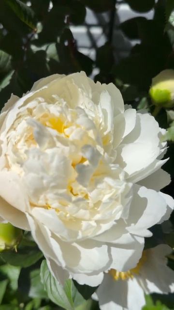 Канзас🌺 смотреть онлайн