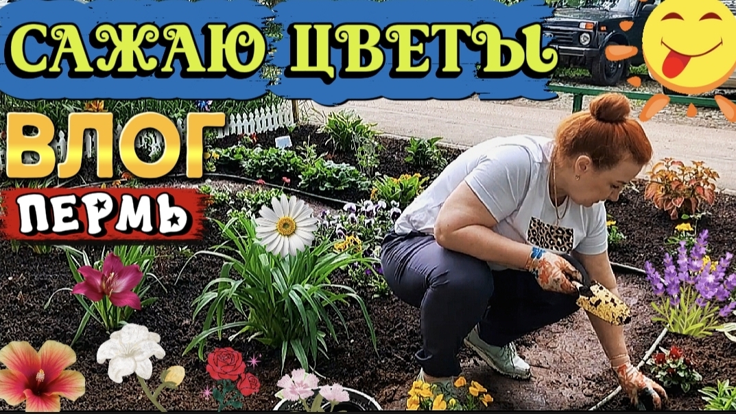 ВЛОГ"Сажаю цветы 🌸 на клумбе,купила краску для забора!)😊💞🌼🌺