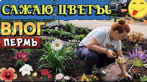 ВЛОГ«Сажаю цветы 🌸 на клумбе,купила краску для забора!)😊💞🌼🌺