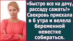 Истории из жизни|Быстро на дачу, рассаду|Аудио рассказы|Аудиокниги слушать онлайн|Жизненные истории