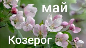 Таро расклад для Козерогов на май 2026 года