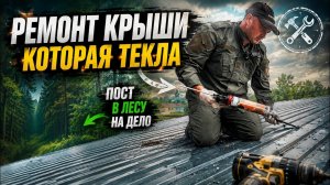 РЕМОНТ СТАРОЙ КРЫШИ СВОИМИ РУКАМИ И ПОЕЗДКА В ЛЕС