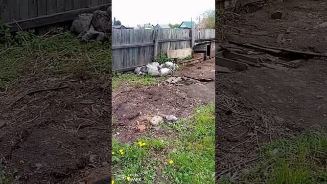 Дела идут потихоньку 🤭 смотреть онлайн