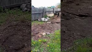 Дела идут потихоньку 🤭