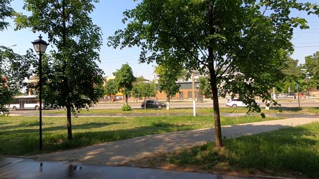 Режиссер после съемок фильма: Золотая Муха смотреть онлайн