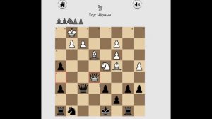 Играю в шахматы онлайн с людьми