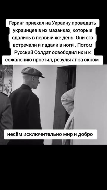 Коротко о истории свиней смотреть онлайн