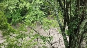 Впервые увидела хорошо знакомую реку Жане такой.mp4