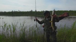 ДОБРАЛИСЬ ДО ОЗЕРА ГДЕ НИКТО НЕ РЫБАЧИЛ. МНОГО ЩУК НА СПИННИНГ. РЫБАЛКА МЕЧТЫ