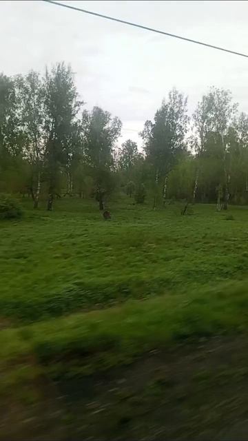 РЕБЯТА ВРЕМЕННО    ВЫПУСКАЮ  КОРОТКИЕ КЛИПЫ  НЕКОГДА ЗАХОДИТЬ