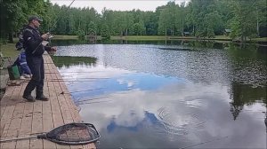 Рыбалка на Нижнем. Клёвое место Лосиный остров.
