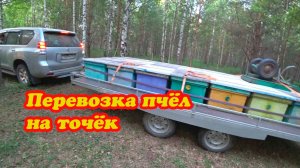 ПЕРЕВОЗКА ПЧЁЛ НА ТОЧЁК №1, ПОСТАВИЛИ МАГАЗИНЫ НА РАСШИРЕНИЕ.