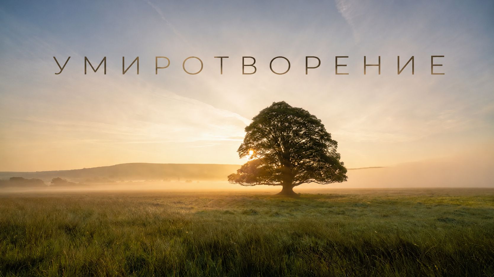 ✧ Спокойная музыка, чтобы перестать зацикливаться и вернуть ясность ума