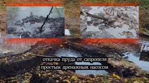 Чистим пруд от ила и сапропеля простым дренажным насосом.