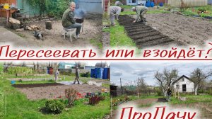 Все сделали, а результата нет пока.