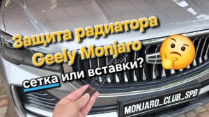 Защитная сетка в решётку радиатора на Geely Monjaro или вставки в решетку? Что лучше на практике?🤔