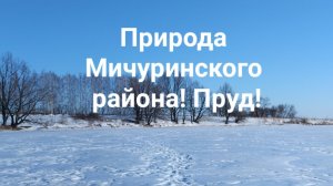 Природа солнечная! Прекрасный мир и видение жизненных сил! На пруду! Заряд Энергией!