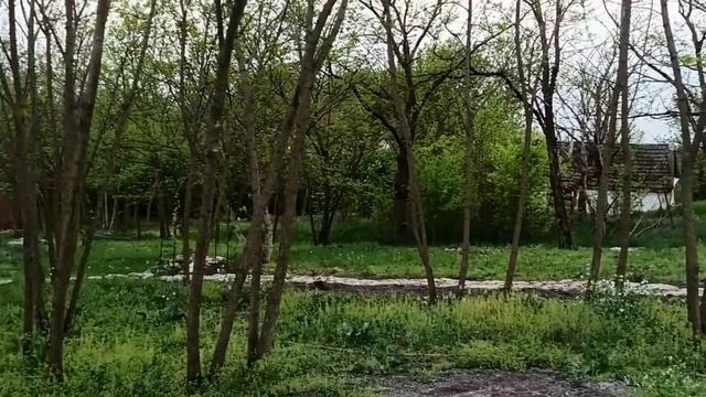 18-20 апреля 2024г.Мой дом. Привела в порядок дачу. смотреть онлайн