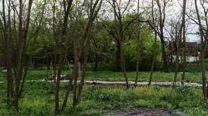 18-20 апреля 2024г.Мой дом. Привела в порядок дачу.