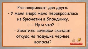 #анекдоты #юмор #Вирус #Тренды #Развлечения #Смешно #смешныеанекдоты