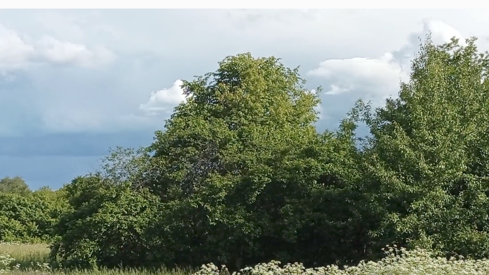 Тучи облака🏞