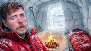 Я пережил 7 дней в Арктике. Мистер Бист